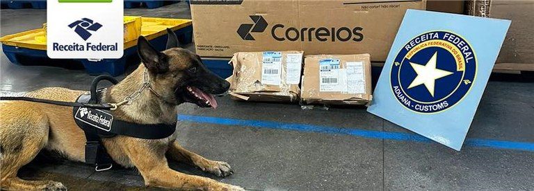 Receita Federal em Porto Velho apreende drogas nos Correios —