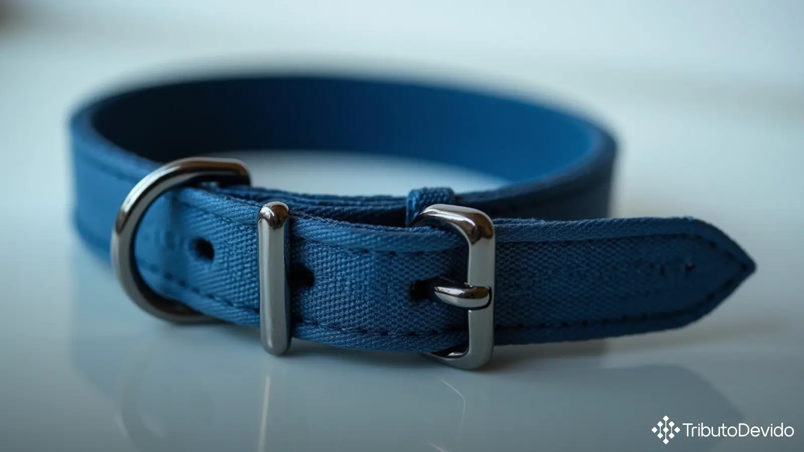 Classificação fiscal de coleiras e guias para pets