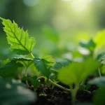 tratamento tributário dos créditos de reposição florestal