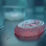 classificação fiscal de êmbolo de borracha para seringas hipodérmicas