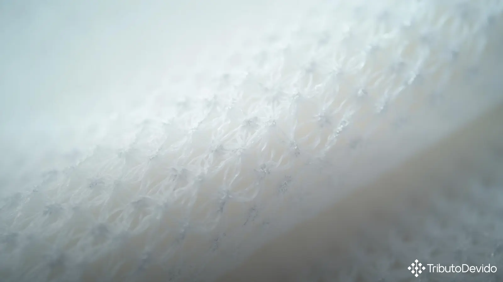 classificação fiscal de grama sintética