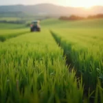 suspensão-PIS-Cofins-setor-agropecuário