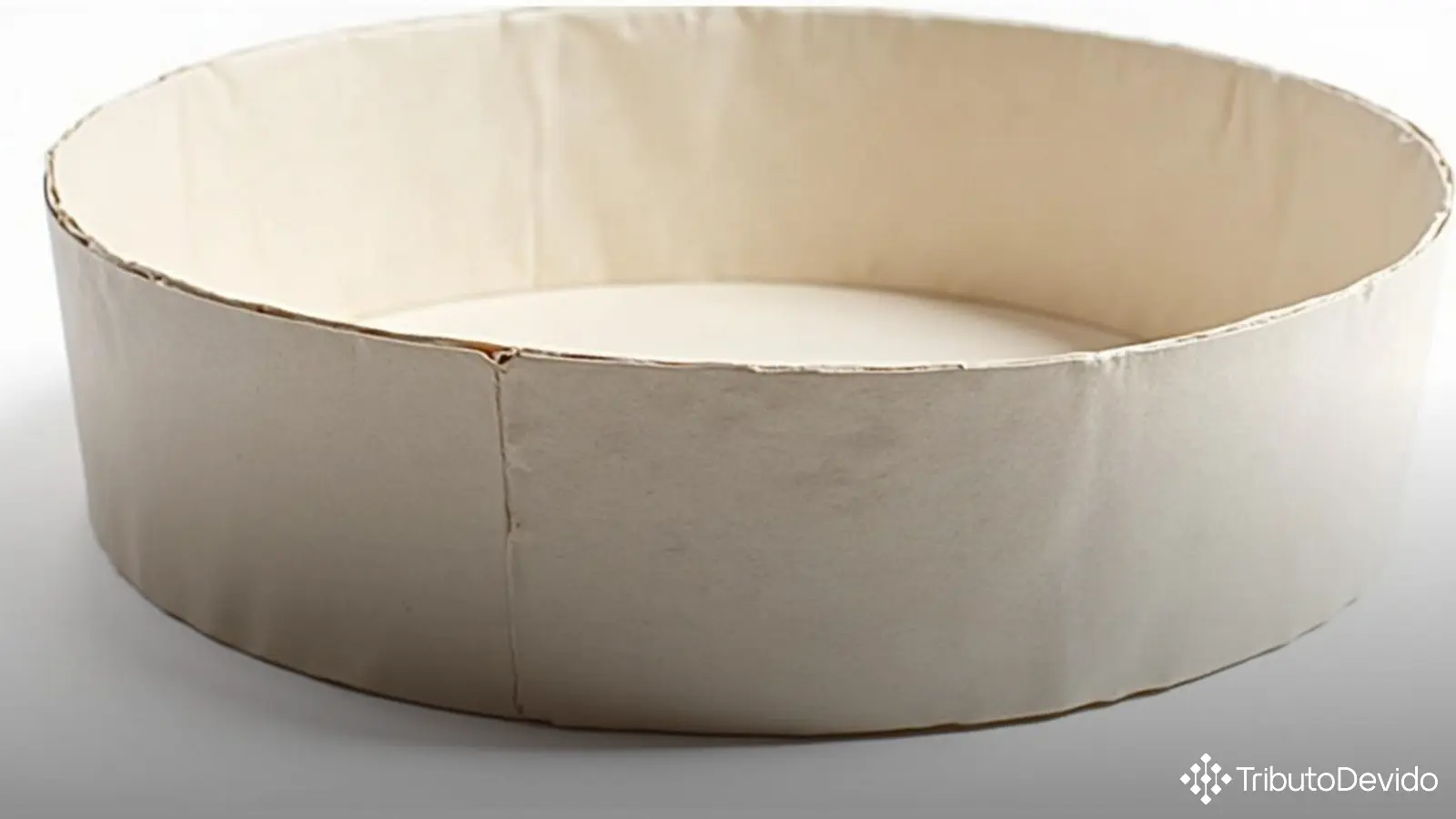 classificação-fiscal-ncm-de-bandejas-de-papel-para-airfryer