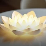 classificação fiscal de boleira de plástico