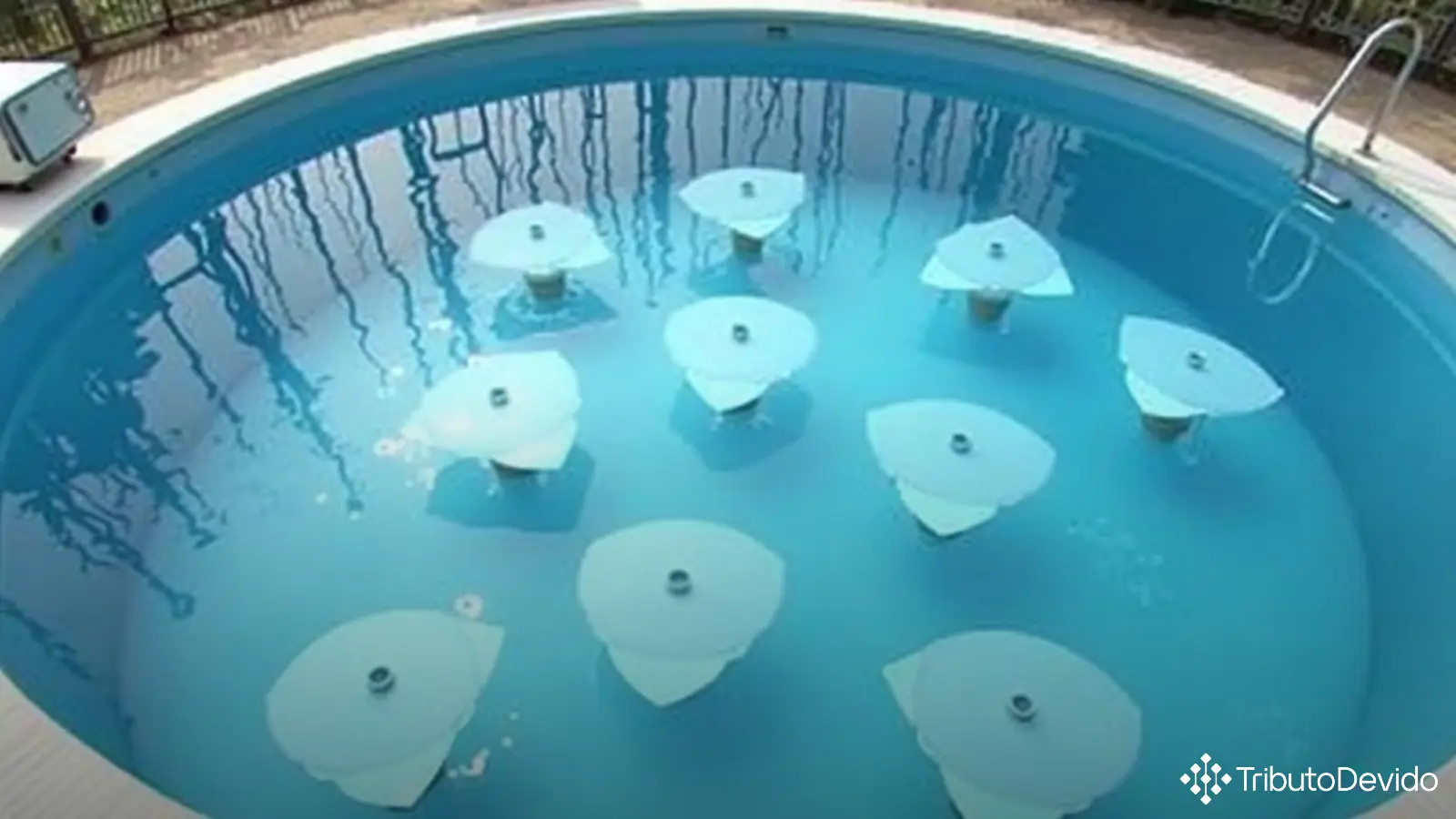 classificação fiscal de desinfetantes para piscinas