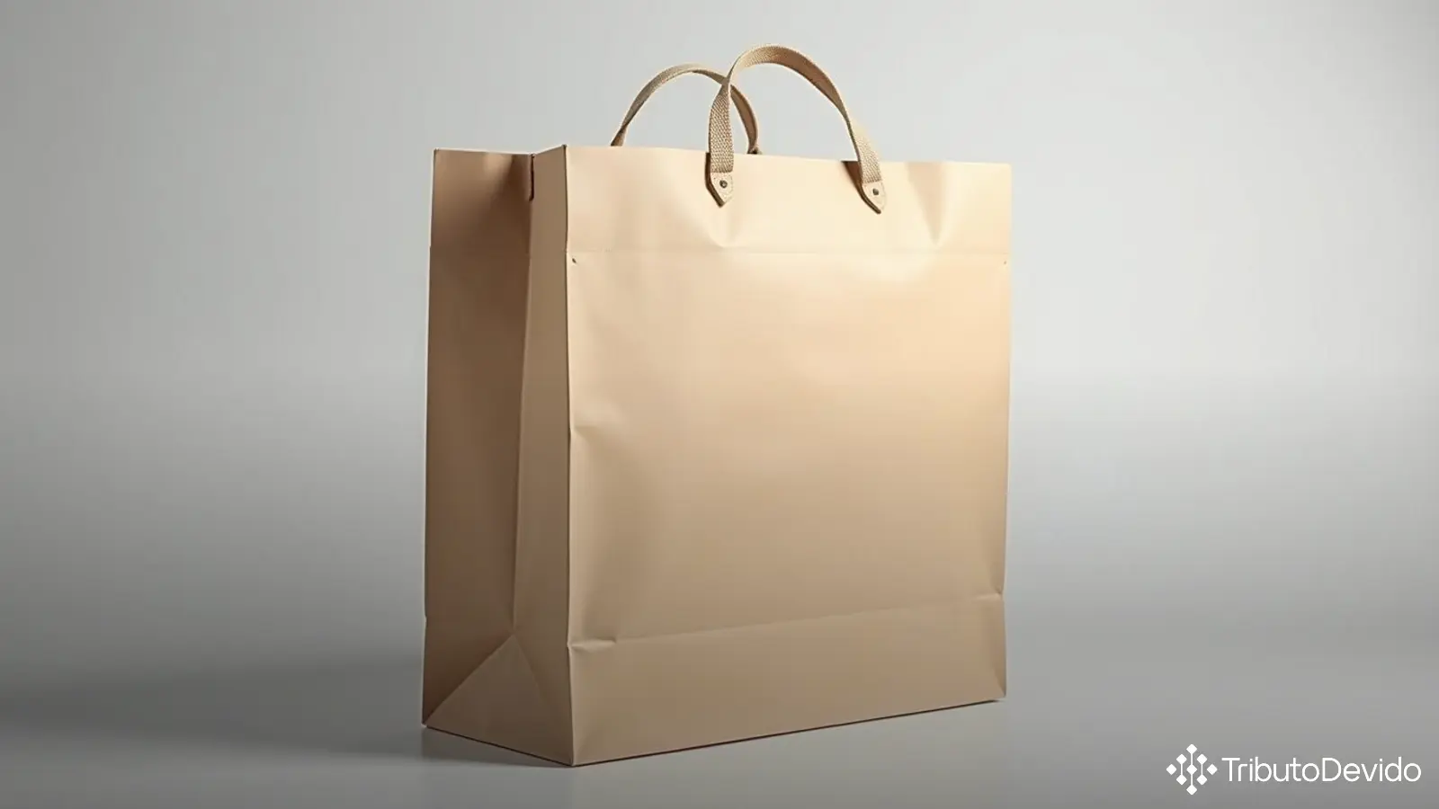 Classificação fiscal NCM bolsa carteiro