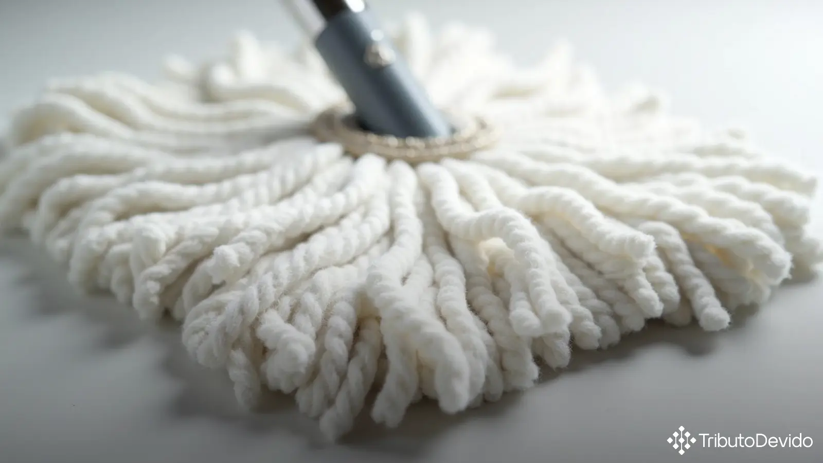 classificação fiscal: esfregão tipo mop