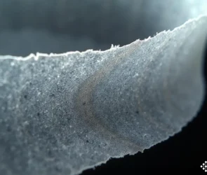 Classificação fiscal lâminas polietileno separadores baterias