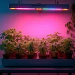 Classificação fiscal lâmpadas LED cultivo indoor