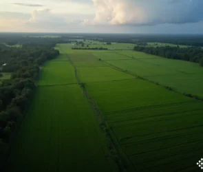 itr-reserva-legal-averbacao